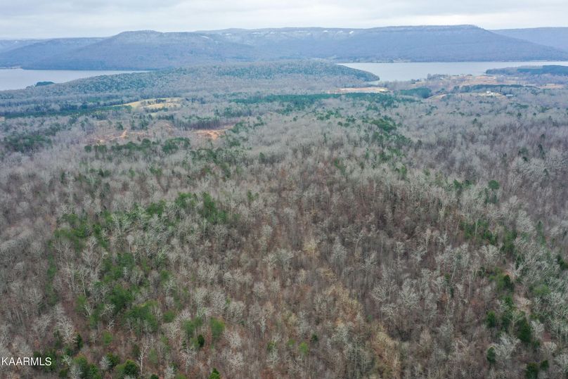 20220118185816394545000000-o