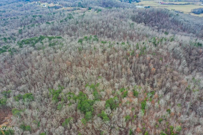 20220118185950900587000000-o