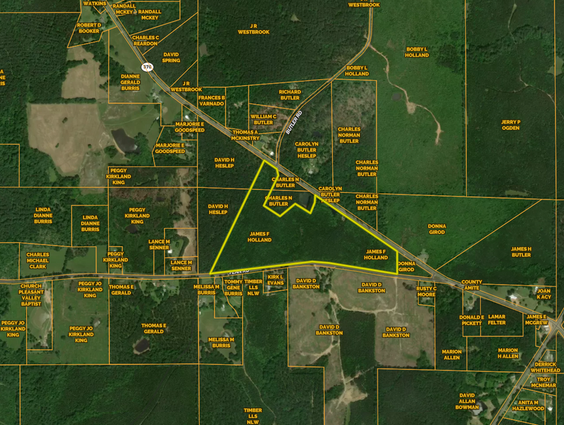 50 ac. Amite co. Ownership ( Holland)