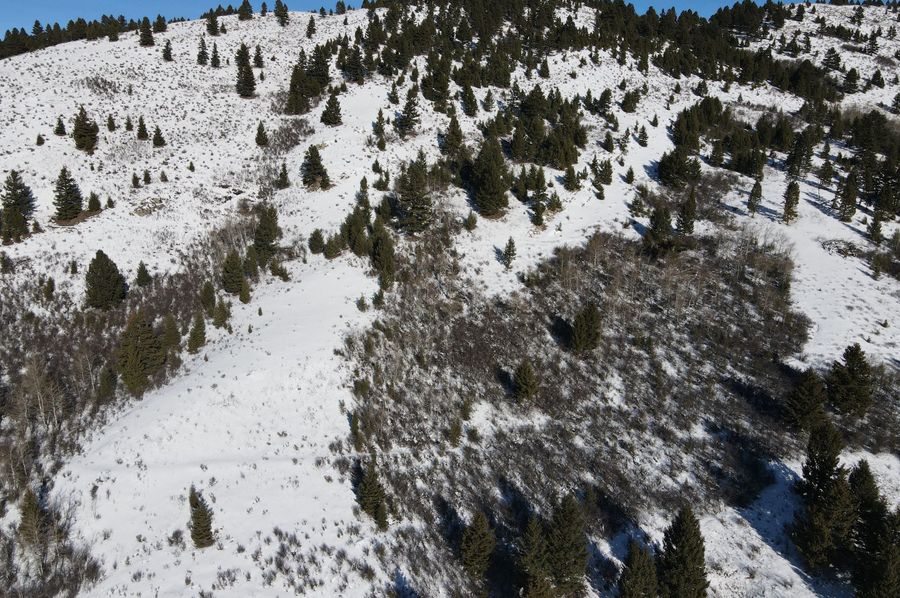 DJI_0044