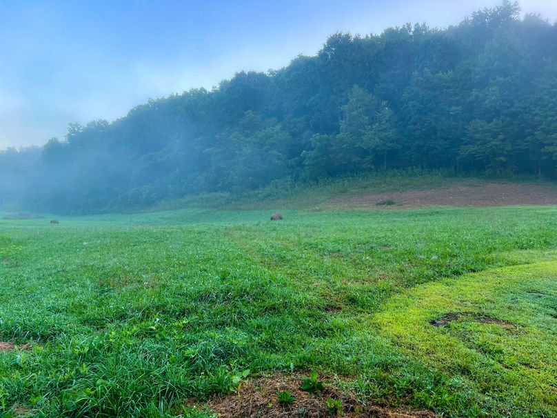 Marion, WV 21 AC Davis-18