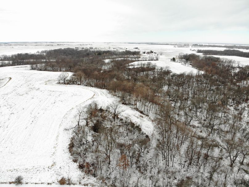 DJI_21