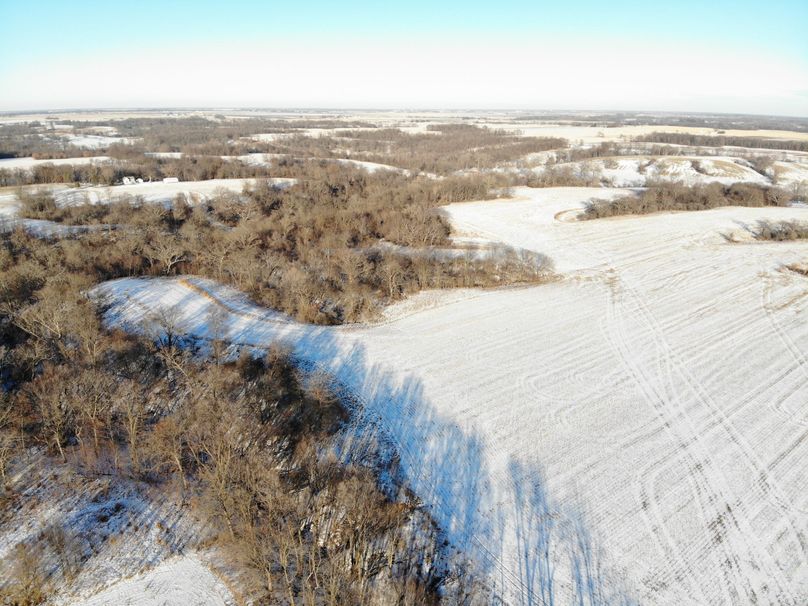 DJI_0810