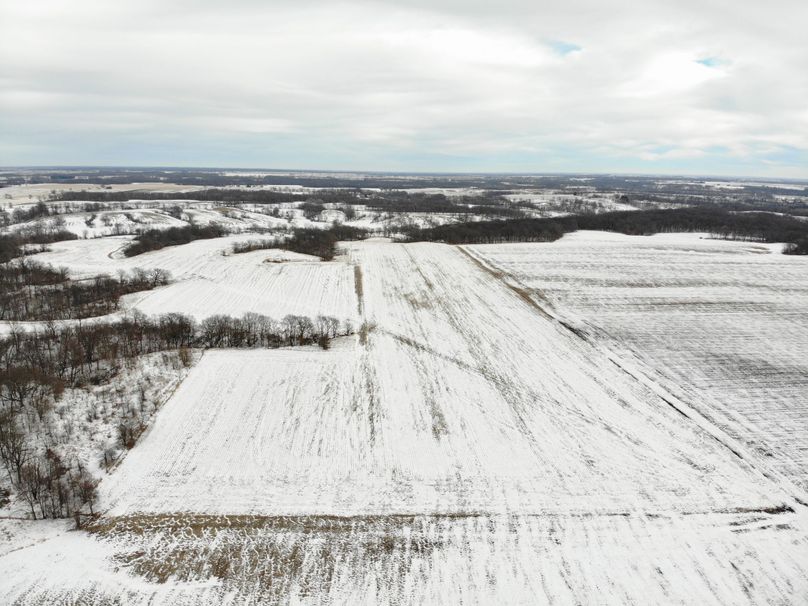 DJI_11