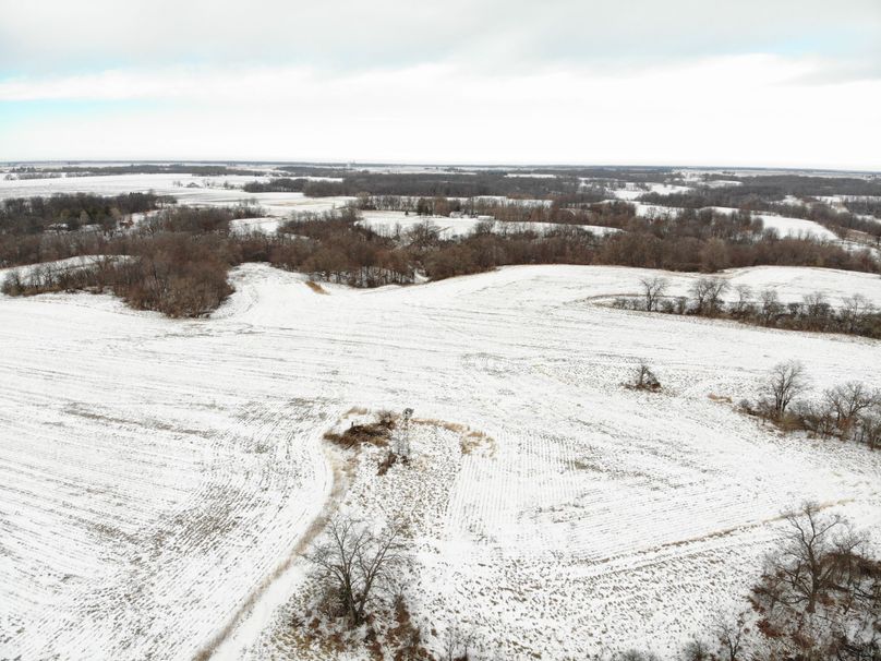DJI_0710