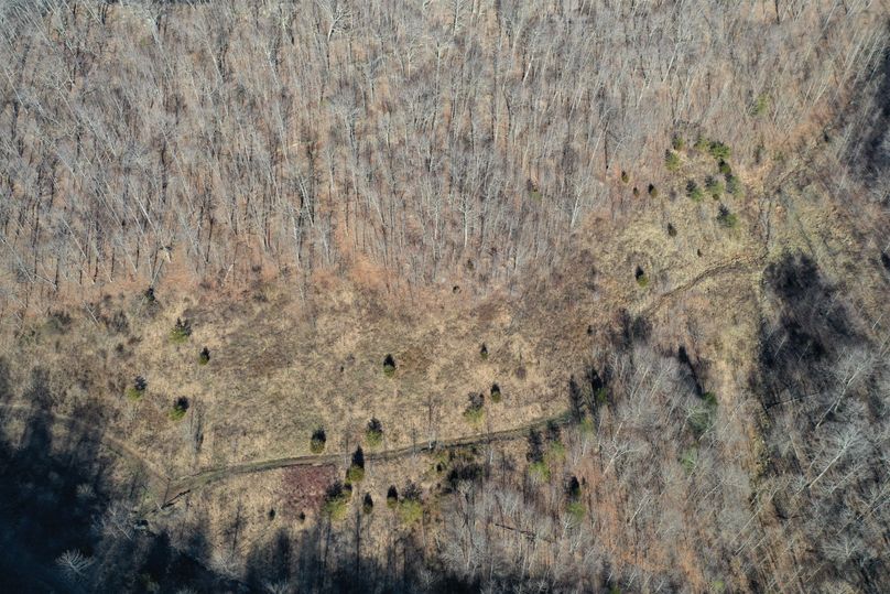 010 aerial drone shot looking straight down on the old mined area in the northern most area of the property