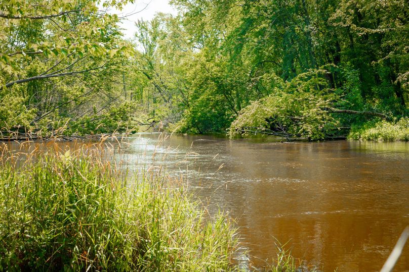 32 Pere Marquette River with World-Class fishing