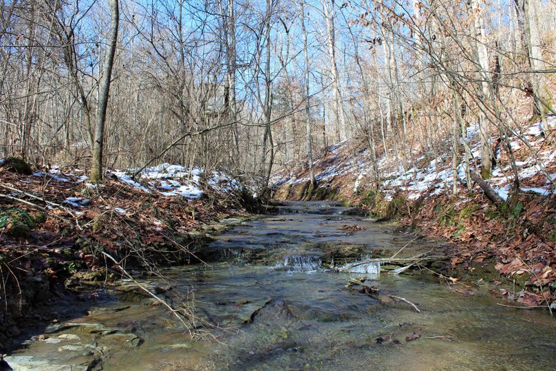 002 the clear mountain stream originating on and flowing through the property