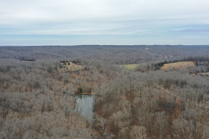 DJI_0906