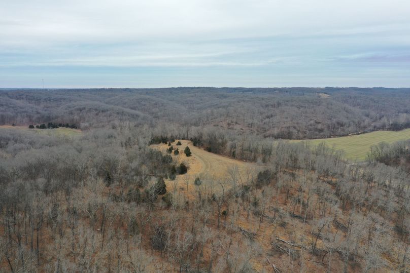 DJI_0908