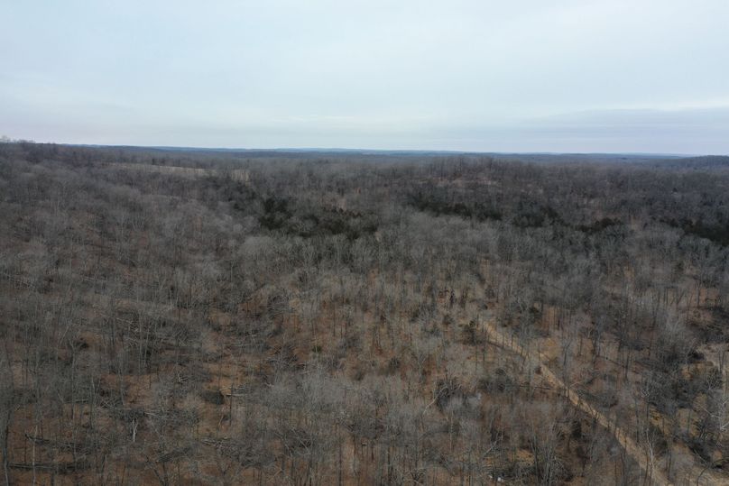 DJI_0893
