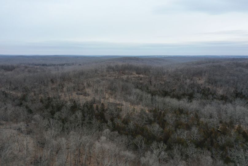 DJI_0899