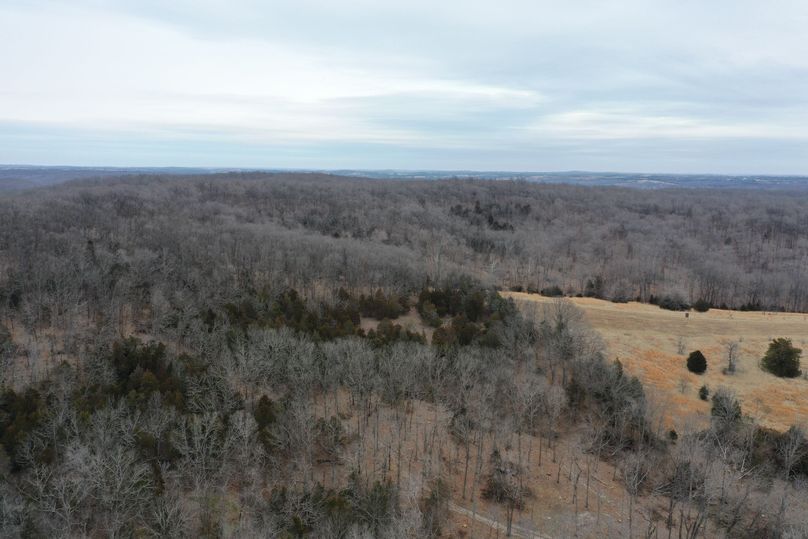 DJI_0901