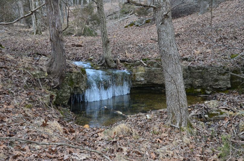 DSC_6719