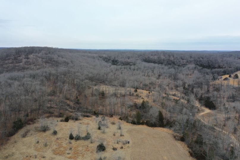 DJI_0889