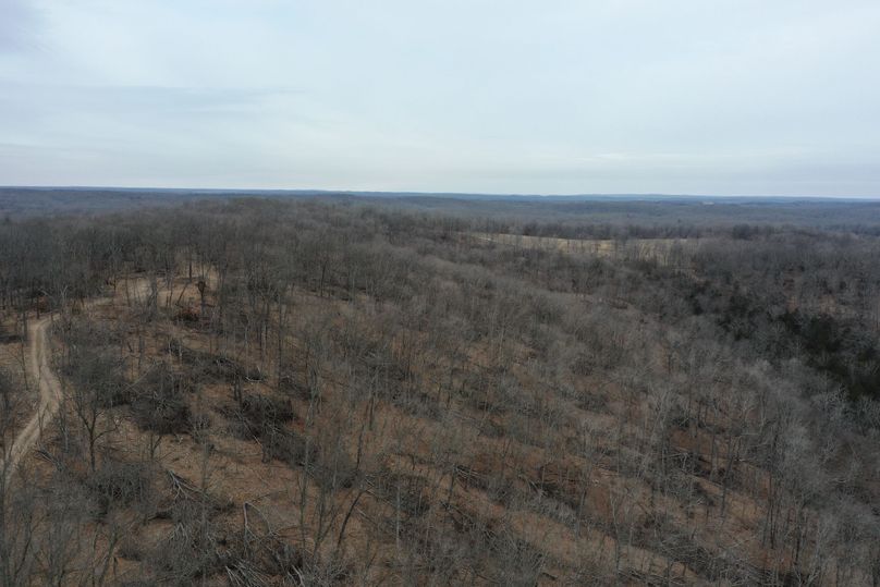 DJI_0897