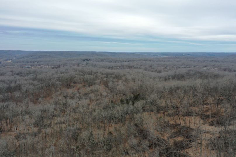 DJI_0896
