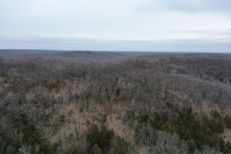 DJI_0902