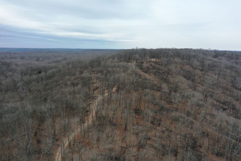 DJI_0894