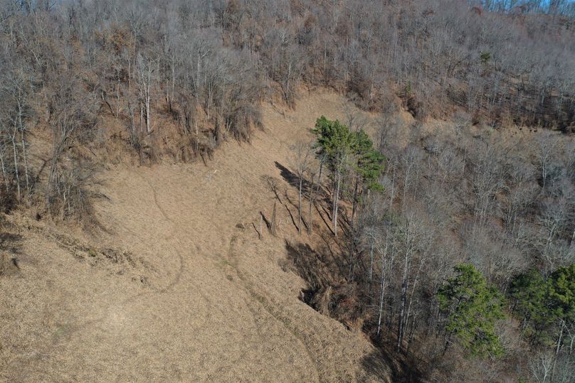 014 look at those deer trails leading around the old contour mined area from many years back