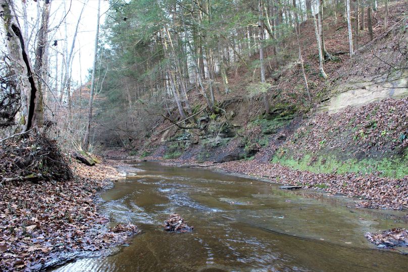 017 the rock bottom stream along the backside of the crop fields