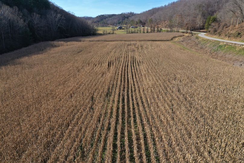 012 low elevation aerial drone shot looking west over the corn
