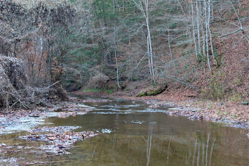 002 the rock bottom stream flowing west to east though the property
