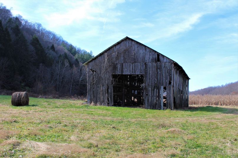 005 the old tobacco barn, with a new roof