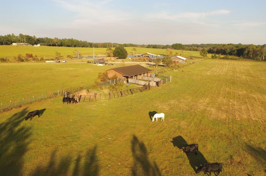 DJI_0078