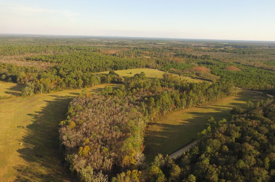 DJI_0081