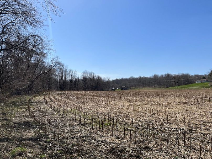 Ontario_96.7_Kiikka Photo 21