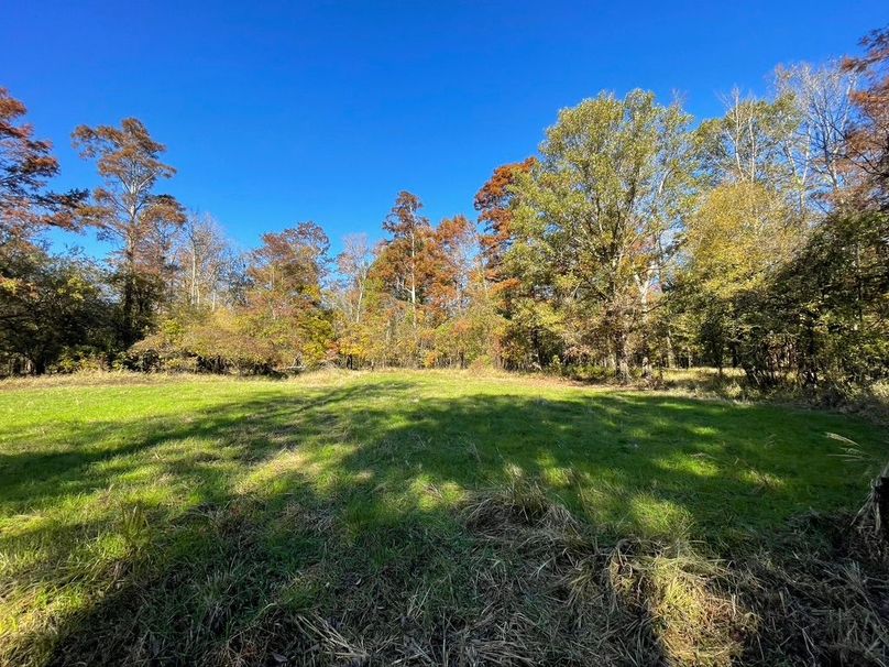 363F54F2-4E0F-4944-BEFA-E81B616EF138_1_105_c