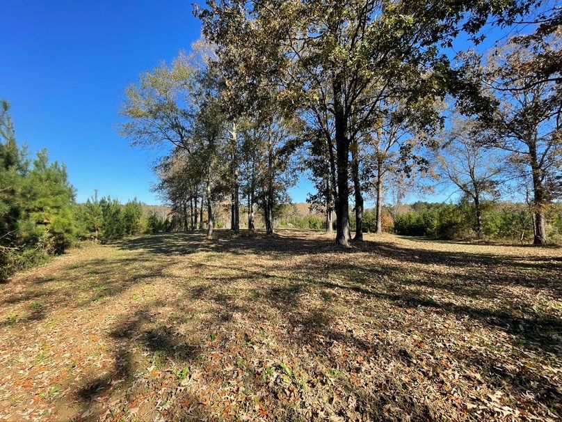 FC852810-D030-418B-AD22-B5368EEFBE0D_1_105_c