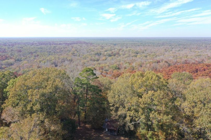 EA5AB98A-7232-46C1-B58E-2FC6930EF276_1_105_c