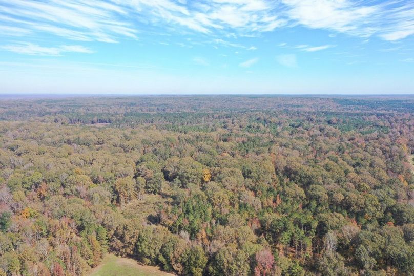 32E1863C-E316-462E-BF30-74F48BA860E6_1_105_c