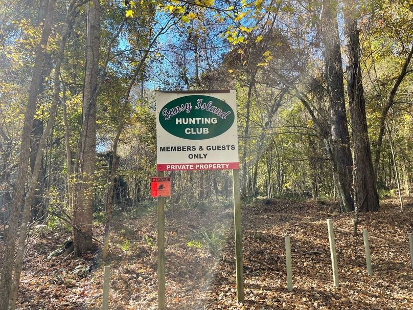 CA794EB7-144E-4361-8C14-5BE6F6902D7A_1_105_c