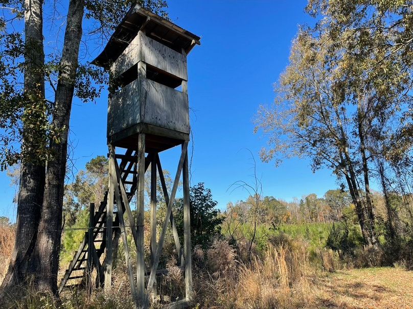 33095658-AD3D-4202-A612-D34C1D636A8D_1_105_c