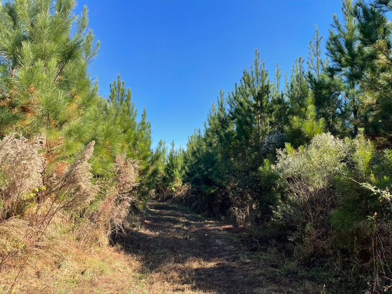 8B75AB5C-FF53-4B41-AADE-B12E4274E0C7_1_105_c