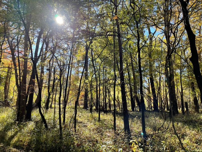 D019C658-5E59-47C1-9392-1C7C7FE1764A_1_105_c