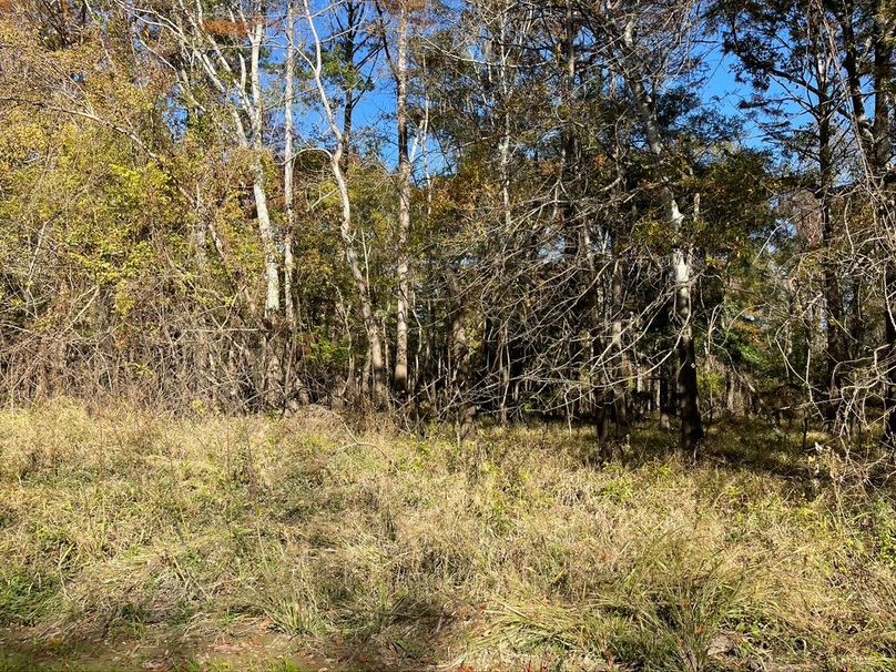 60D6CD5B-2811-43D3-8B88-016753C7AC7B_1_105_c