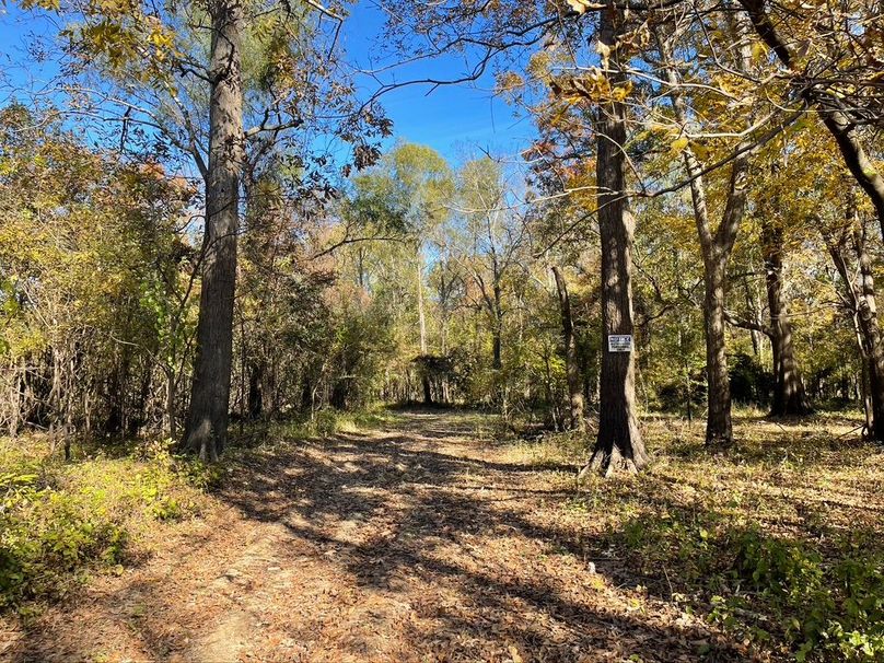 87A8F6A9-6514-4FA8-AF35-22136FF97076_1_105_c