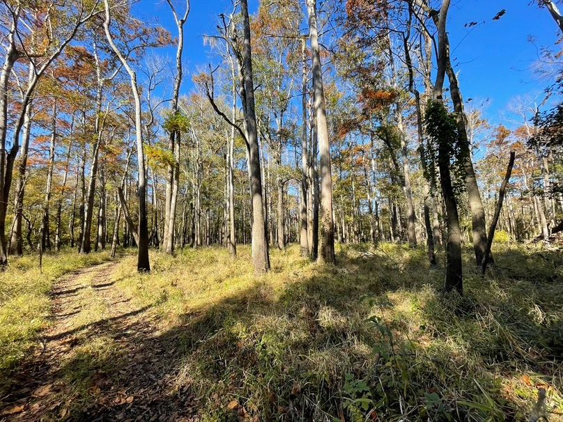 D29C76EF-A02E-4976-9BC8-66B1E0A54D26_1_105_c