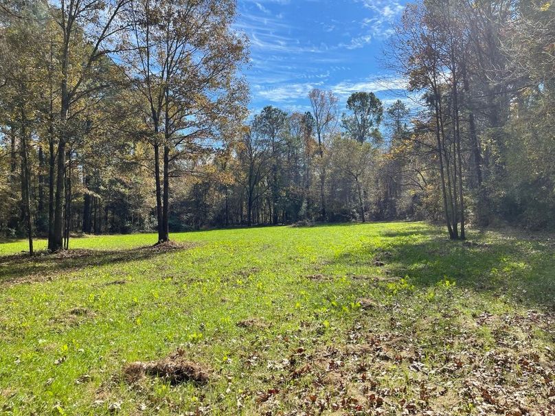 5B732349-F2F5-4CF8-A15B-BE01CAA6B09C_1_105_c