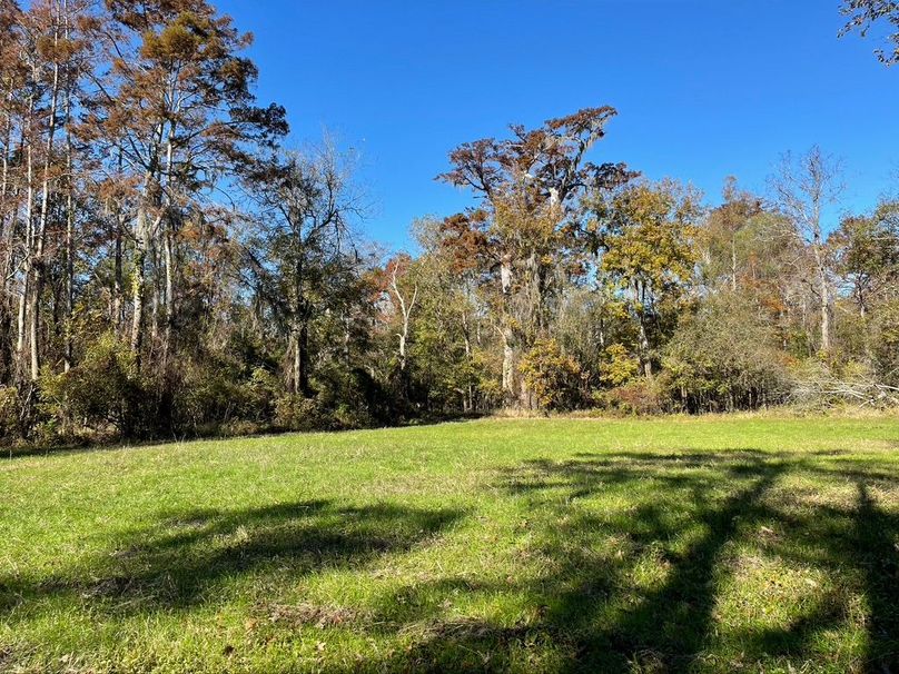 CCA3476F-6770-44AB-818F-4CA753AED4D9_1_105_c