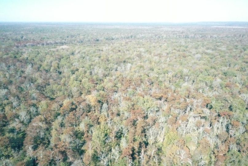 DA513D62-57A9-411F-A423-4983AF1BF6CA_1_105_c