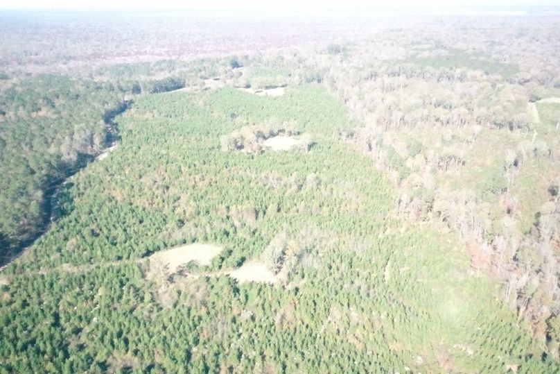 8C8A47B4-7521-4A07-922D-6C0838D4324D_1_105_c