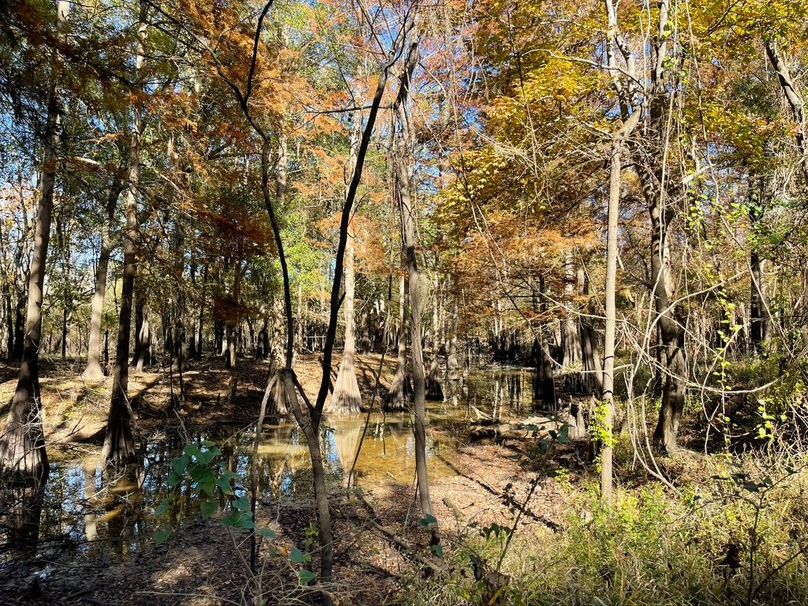 C9568F5C-AC79-43A0-9D33-71C49D5BB59B_1_105_c