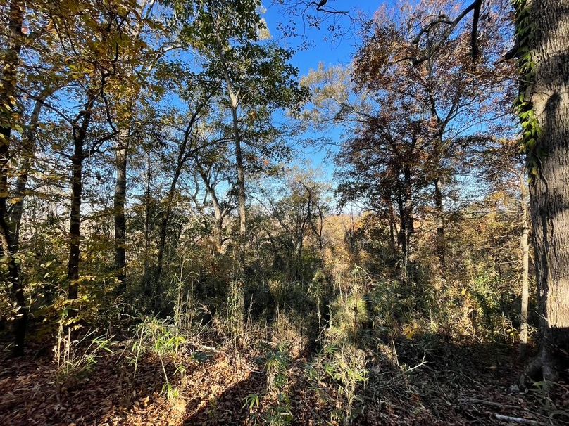 47CDA326-FCD5-4F5D-98B2-FDDCE2CDE4A1_1_105_c