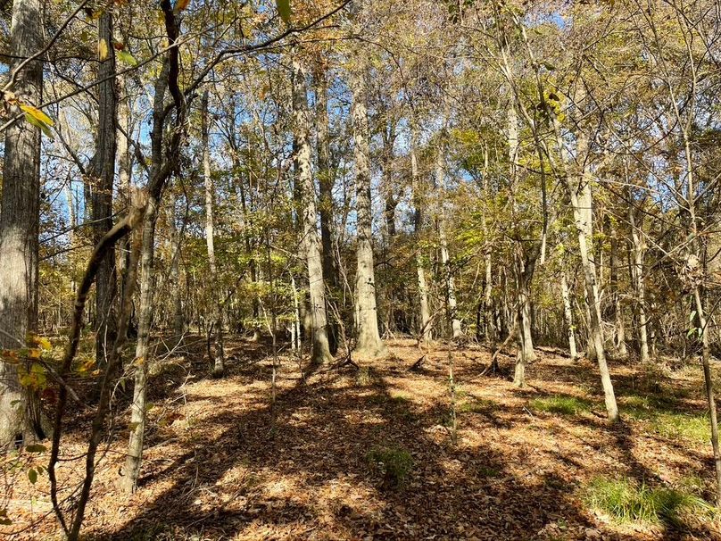 B8A3049C-1F25-45FD-8741-732D4FA5D079_1_105_c