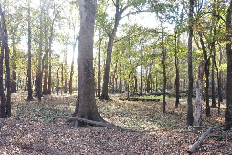 54B94CC9-2F26-4C8D-AF2D-B175CDE53EC9_1_105_c